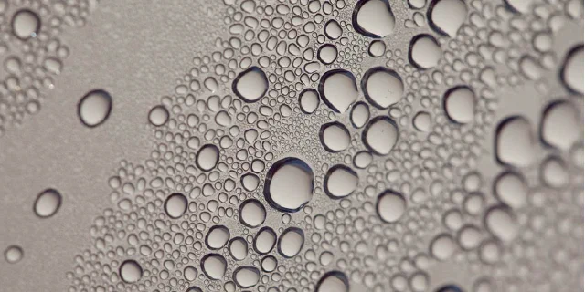 流汗與水分流失